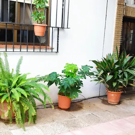 公寓 El Balcon De San Pablo *