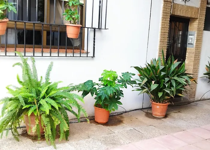 公寓 El Balcon De San Pablo *